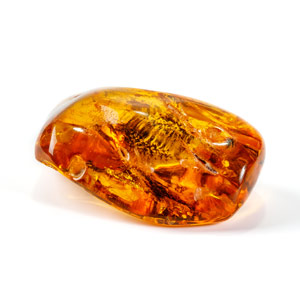 Image of Amber with spider