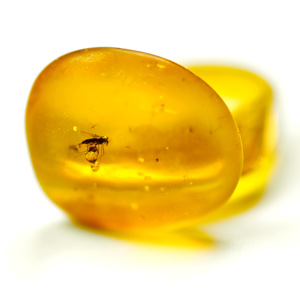 Image of Amber with mosquito