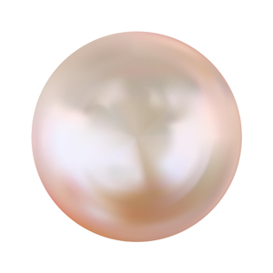 Image of Akoya Pearl