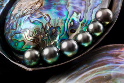 Image of South Sea Pearls